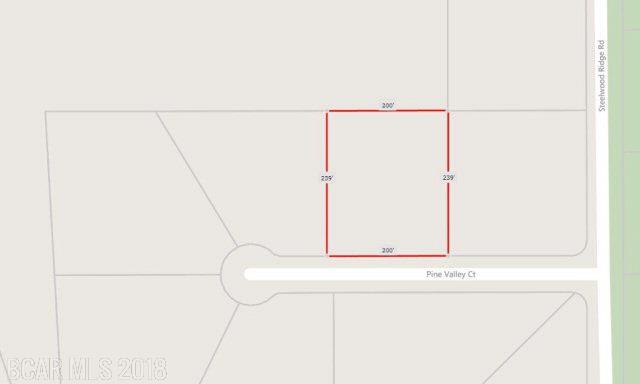 0 Pinevalley Ct - Photo 1