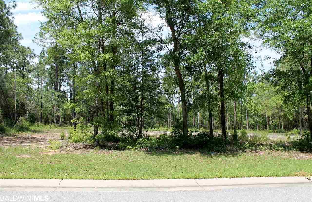 0 Red Fern Road - Photo 1