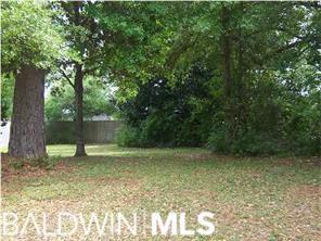 0 Pherin Woods Court - Photo 1