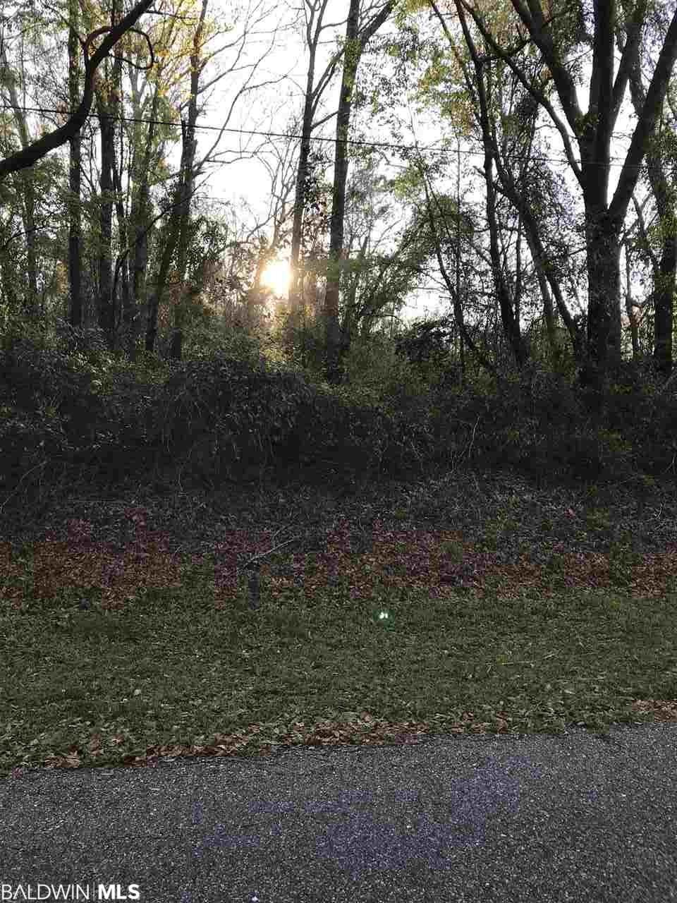 Lot 22 Hillside Loop - Photo 1