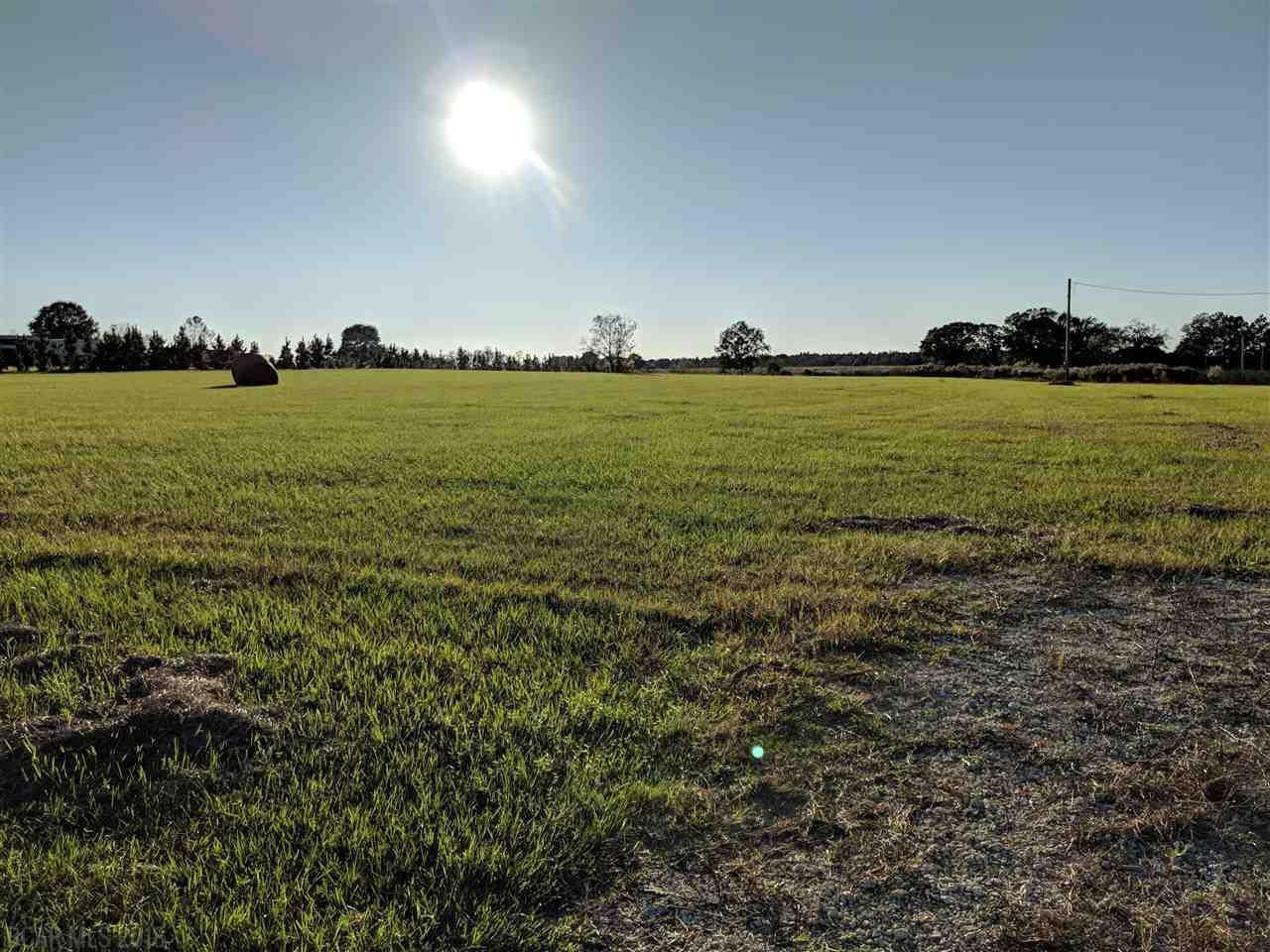 0 County Road 68 - Photo 1