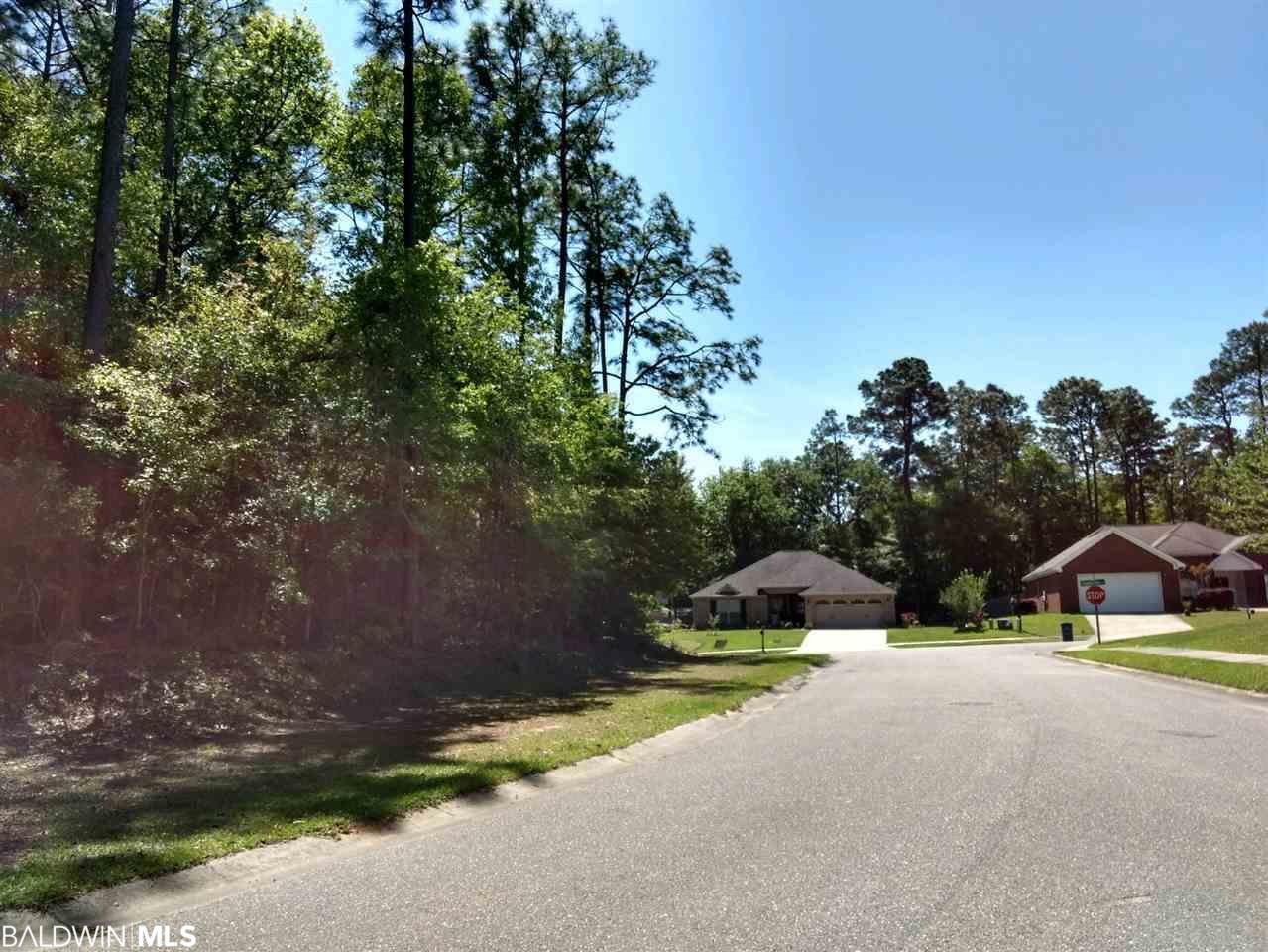 111 Timberline Drive - Photo 1