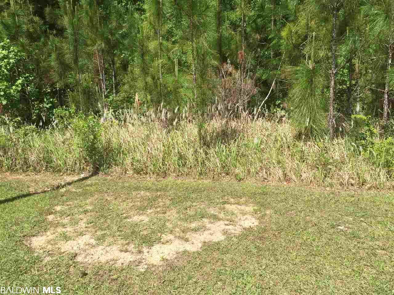 1424 Canal Road - Photo 1
