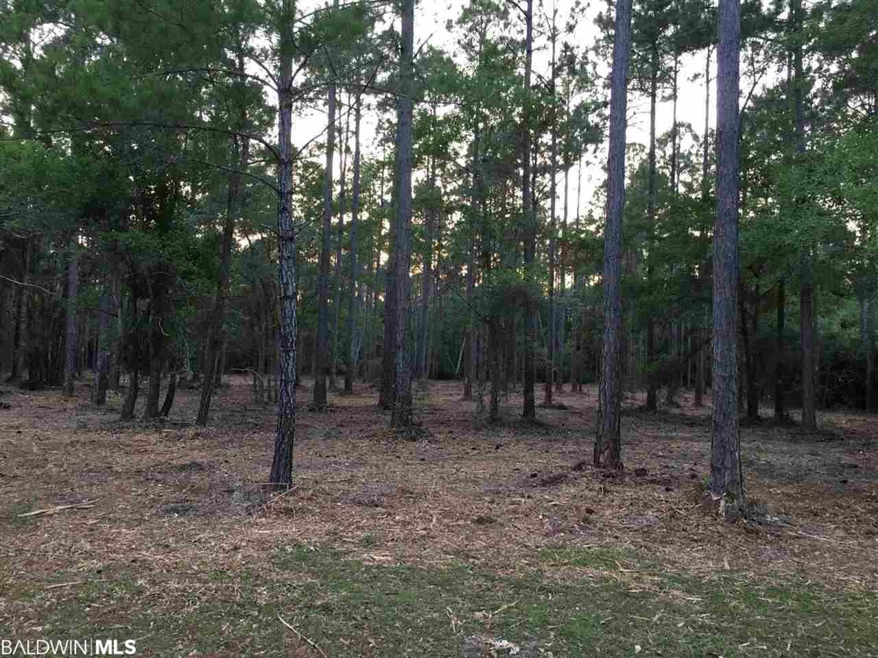 0 Mill House Rd - Photo 1