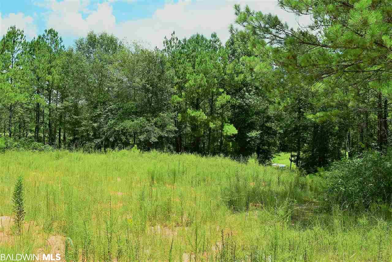 Lot 67 Gravine Street - Photo 1