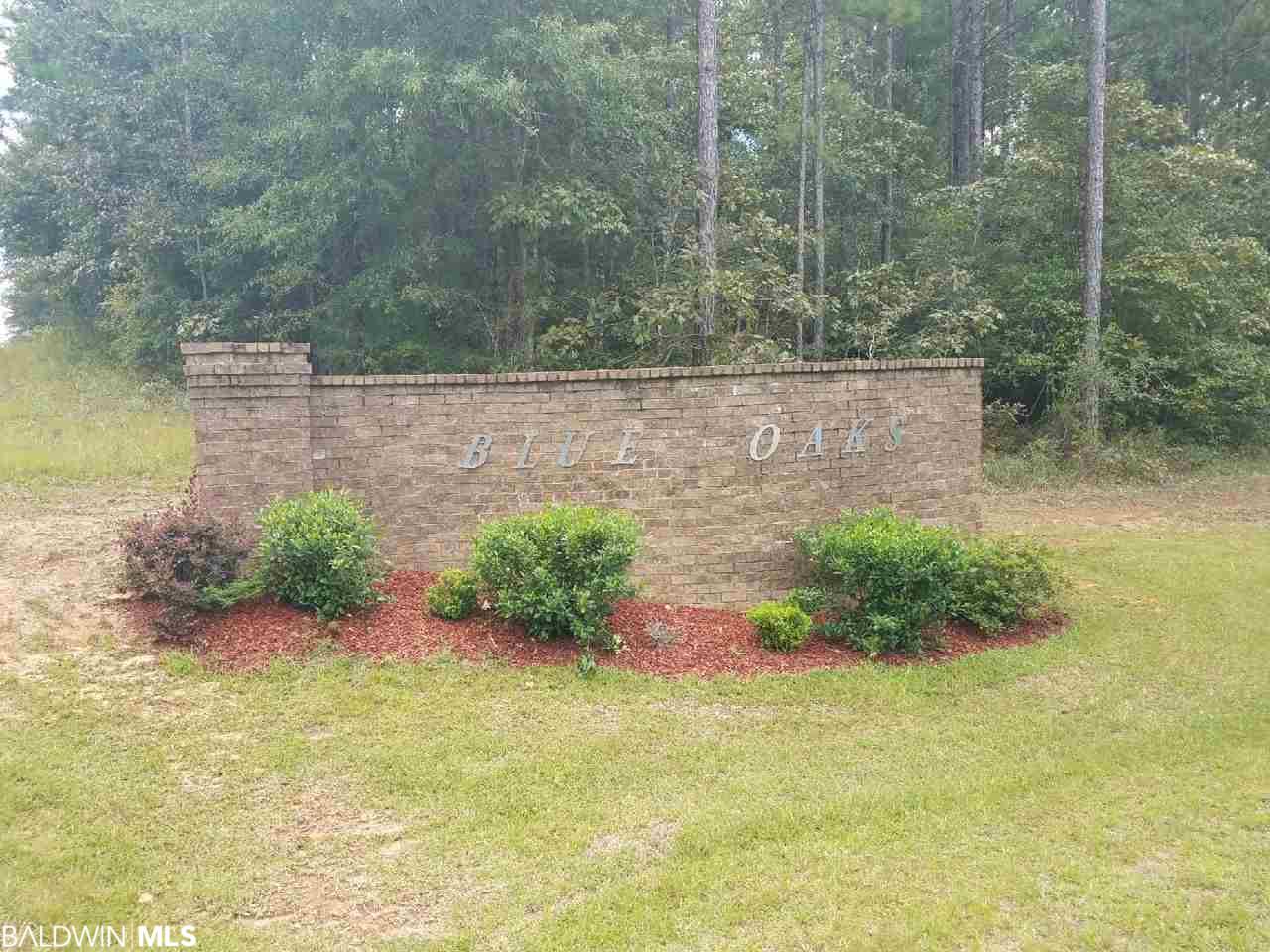0 Byrd Road - Photo 1