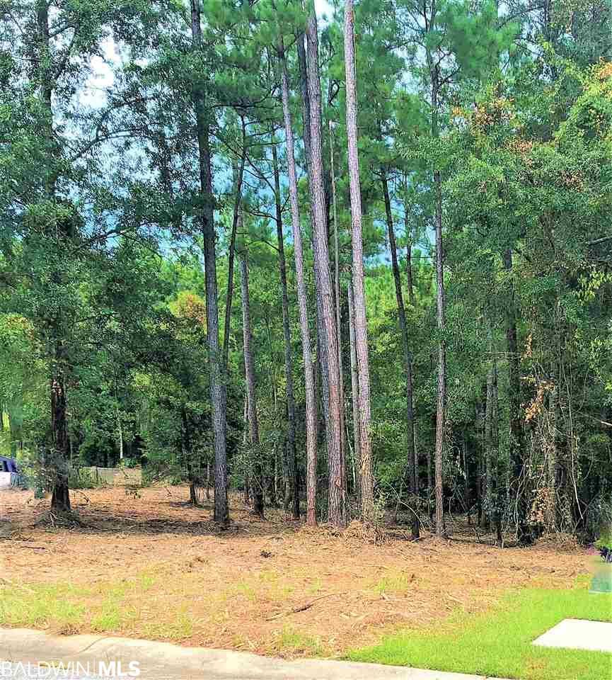 Lot 132 Cramblitt Lane - Photo 1