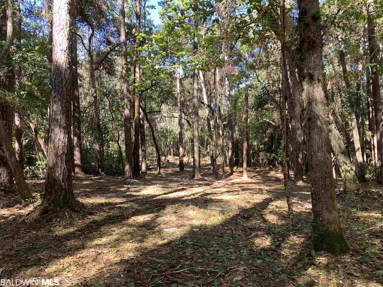 0 Rock Creek Drive - Photo 1