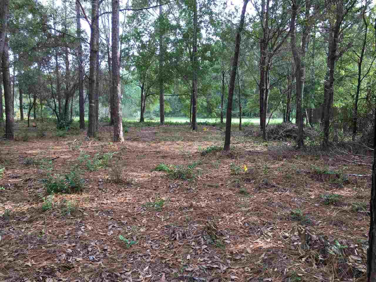 32340 River Lake Road - Photo 1