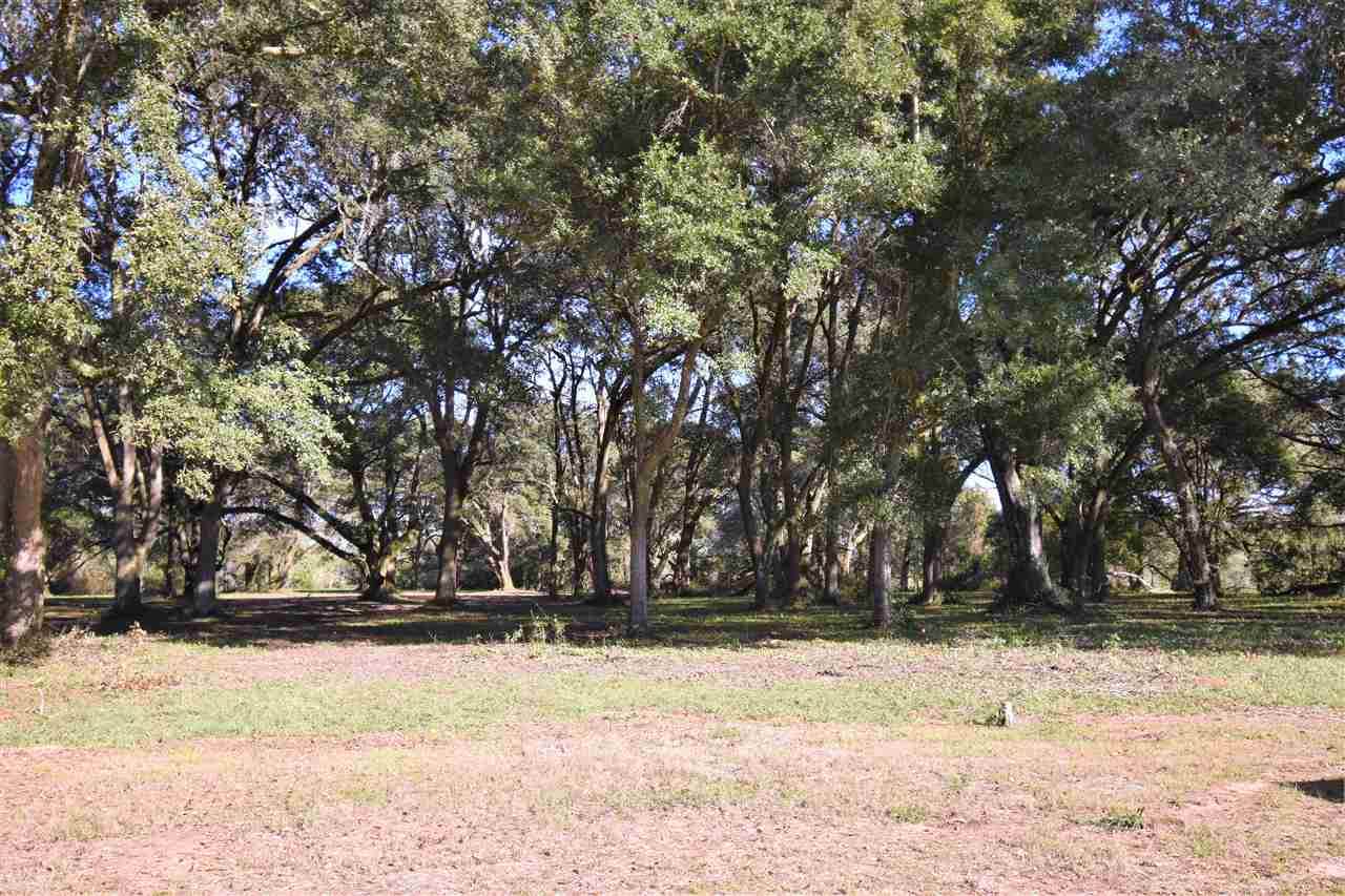 0 County Road 32 - Photo 1