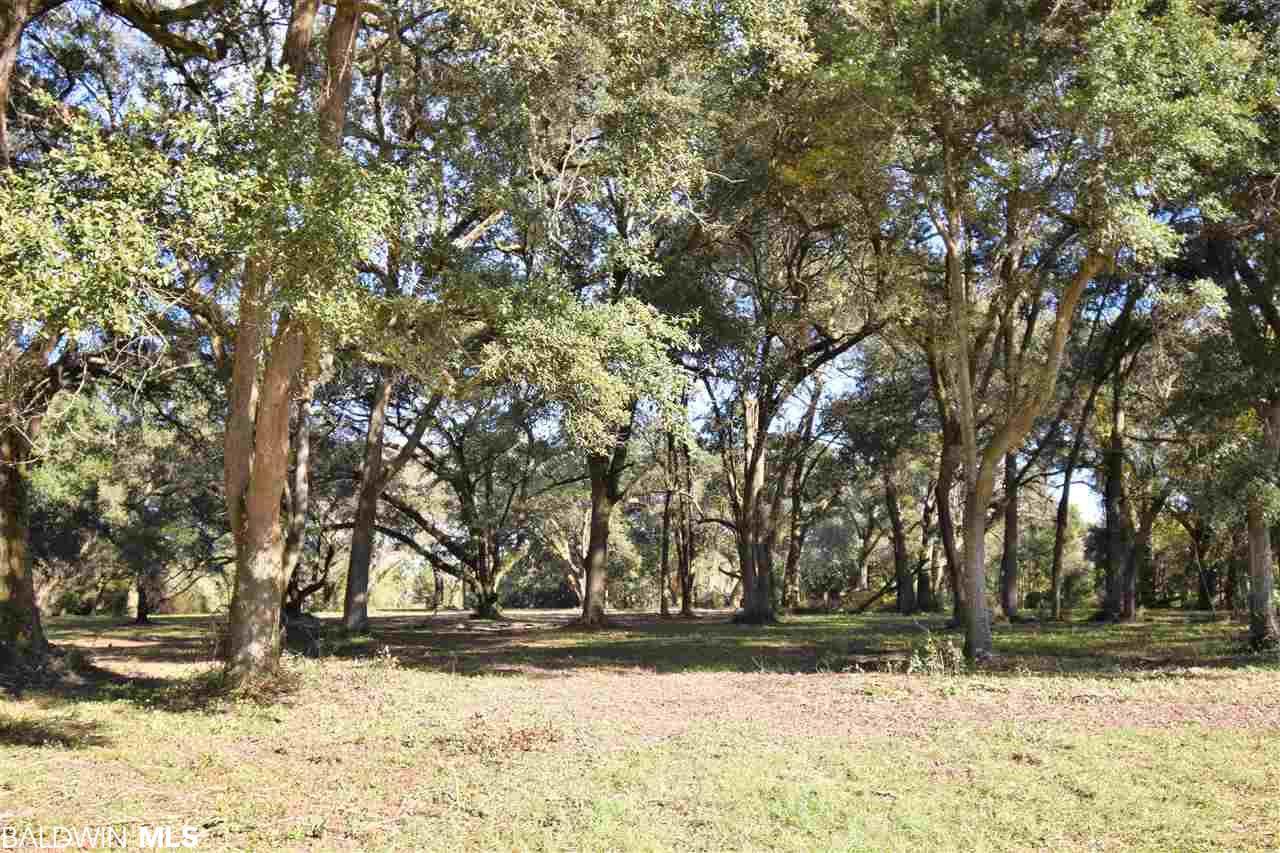 0 County Road 32 - Photo 1