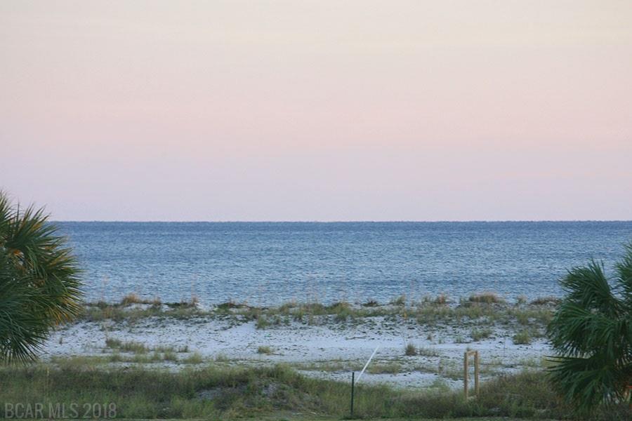 28925 Perdido Beach Blvd - Photo 1