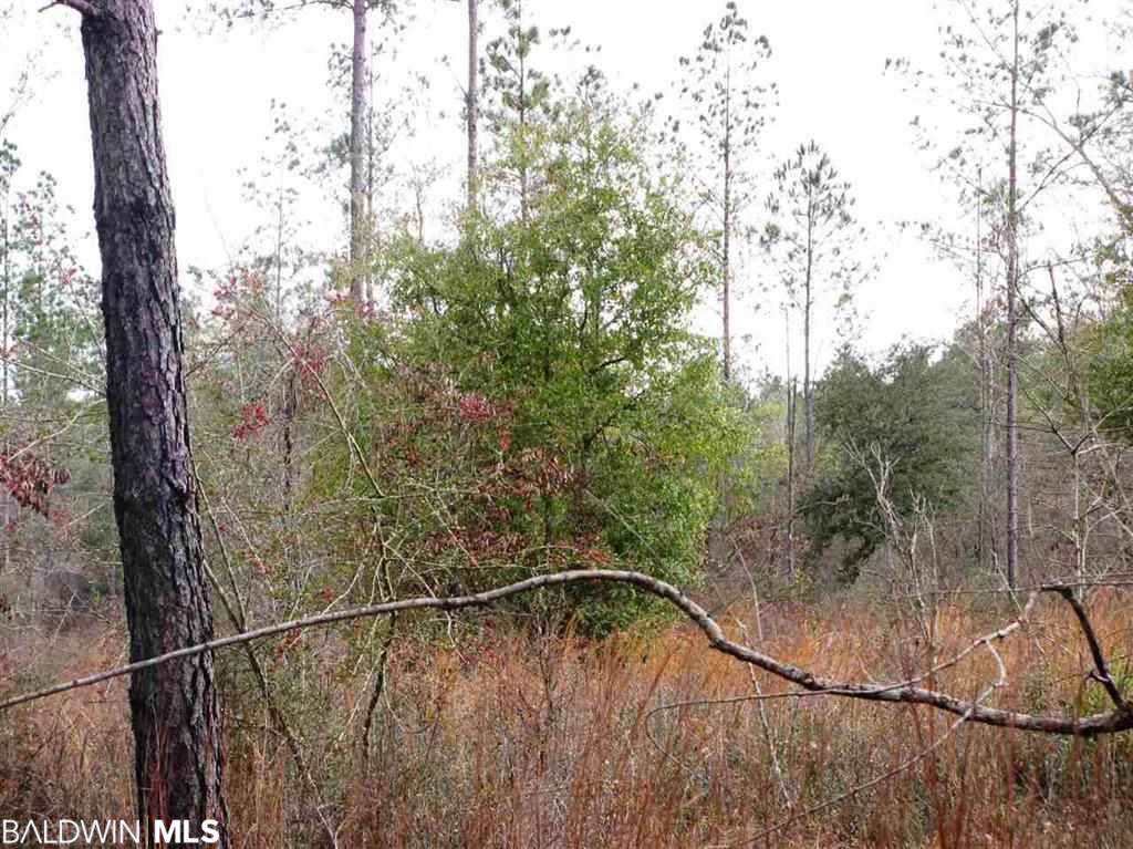Lot 4 County Road 64 - Photo 1
