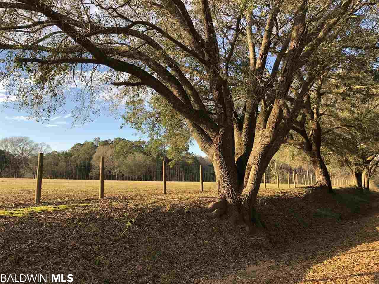 00 County Road 83 - Photo 1