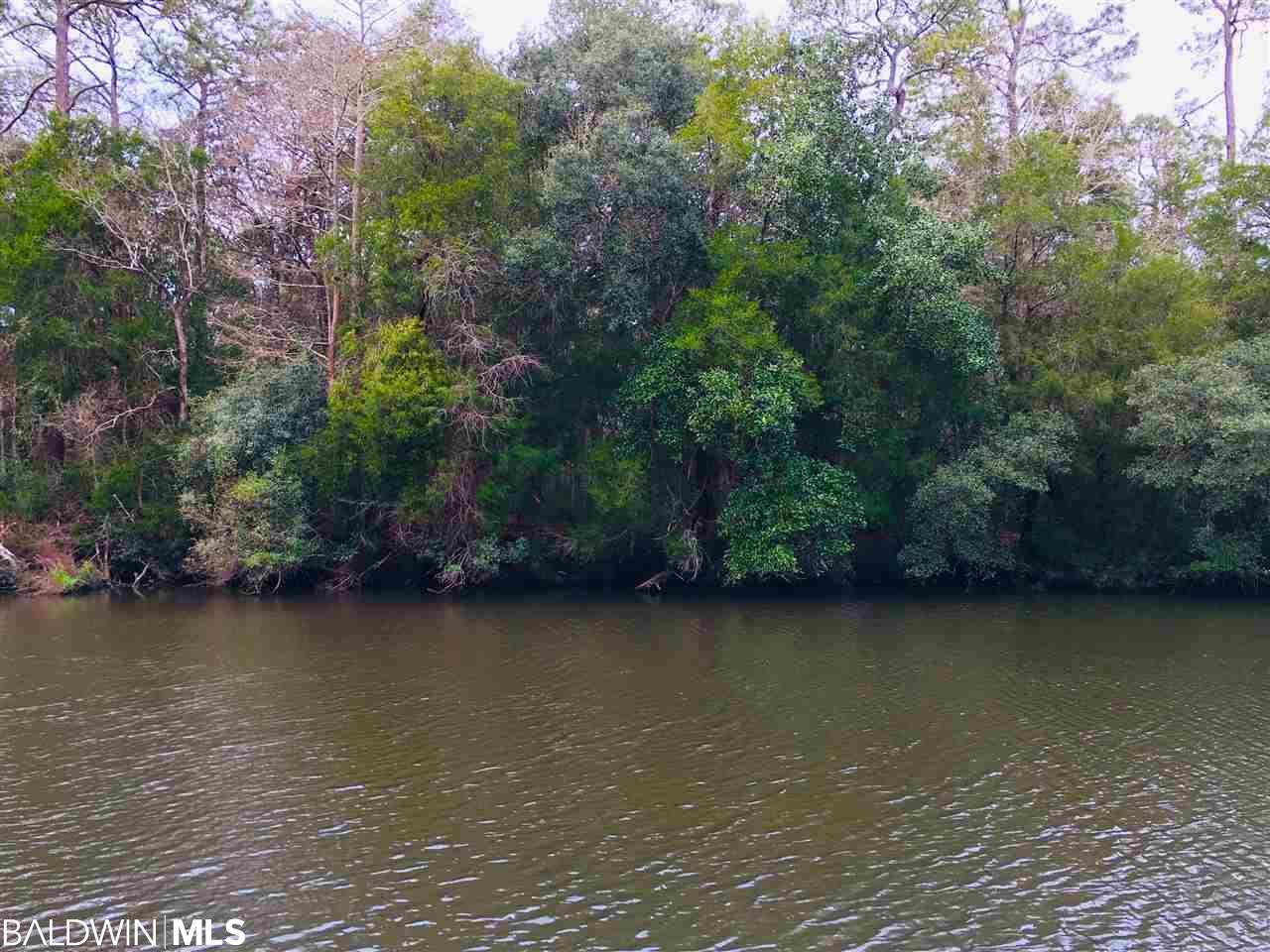 0 River Road - Photo 1