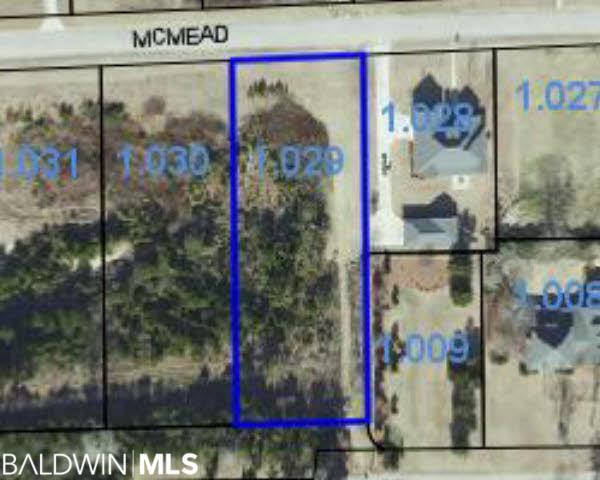 0 Mcmead Drive - Photo 1
