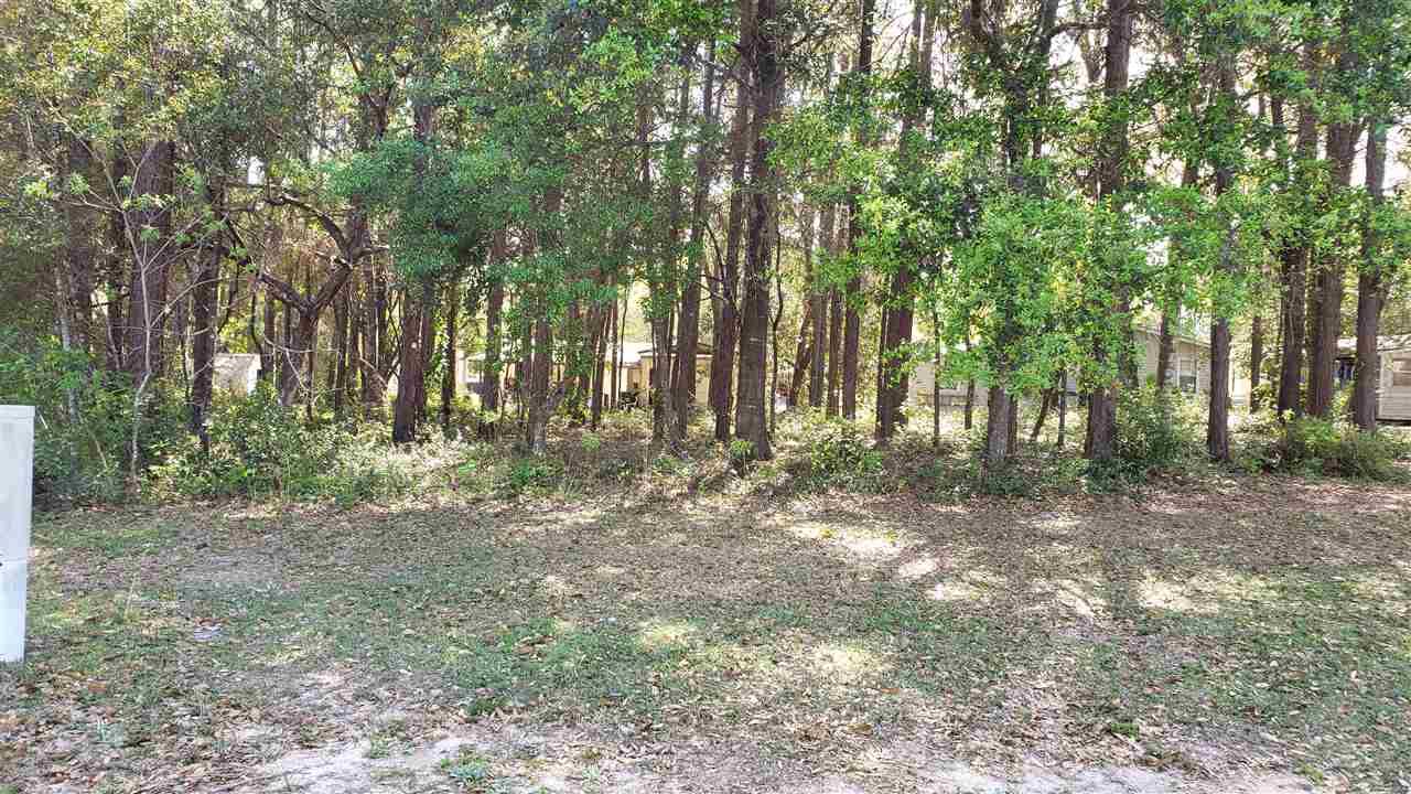 1666 Santa Cruz Dr - Photo 1
