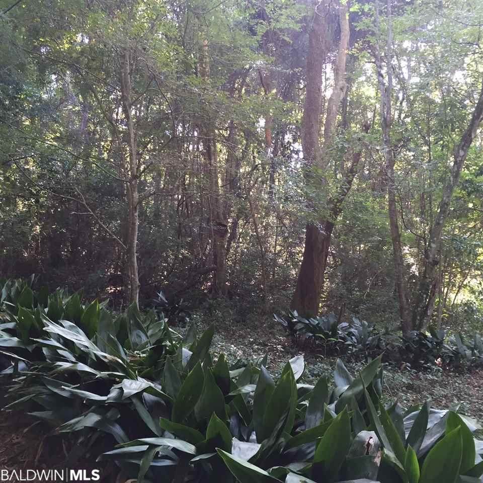 0 Bendabout Lane - Photo 1