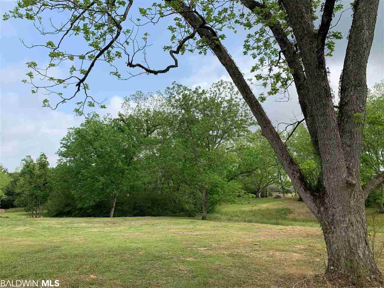 0 Pecan Ridge Blvd - Photo 1