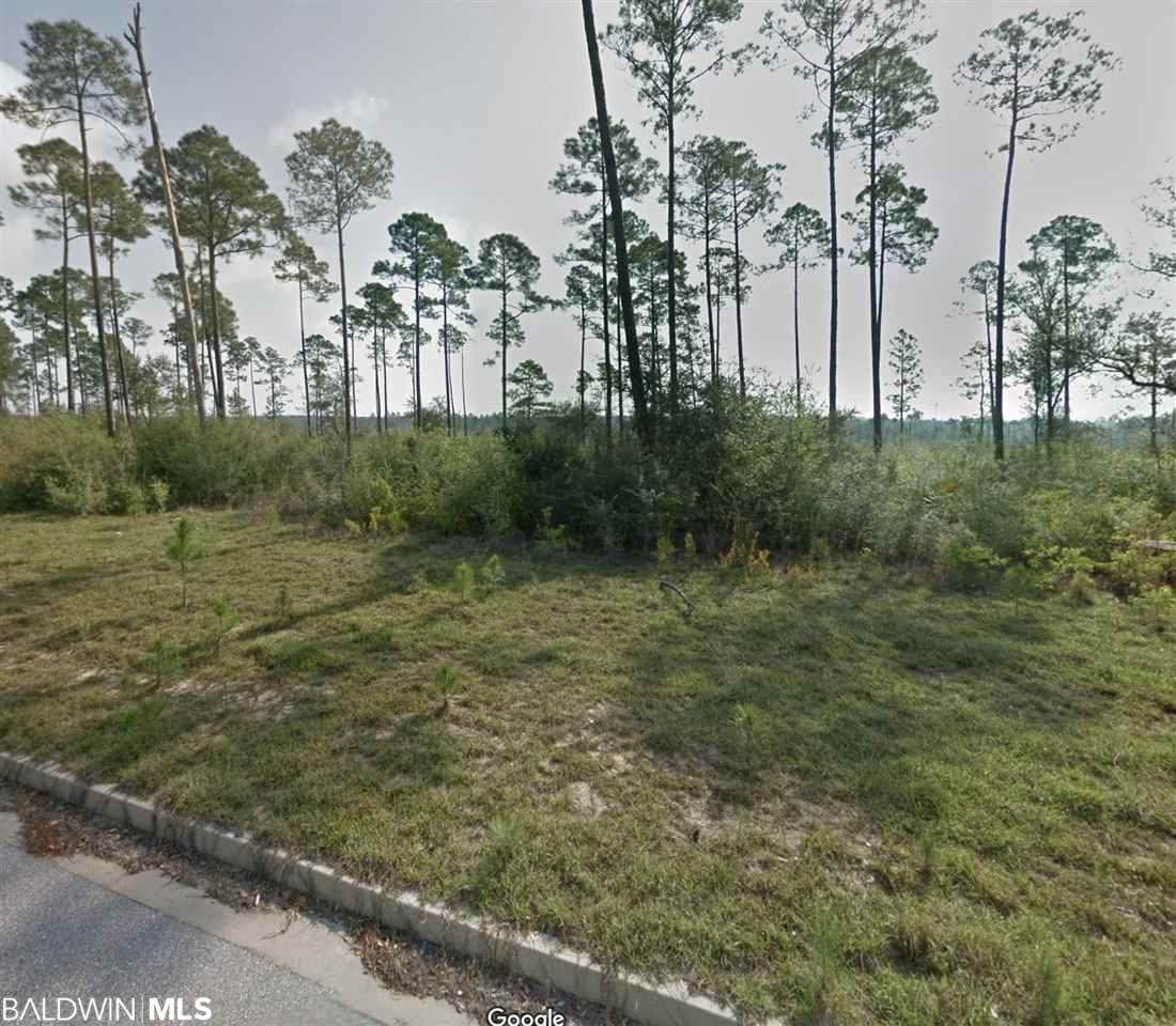 10982 Tall Timber Lane - Photo 1