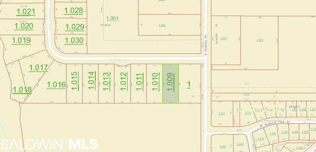 Lot 2 Fielding Park Dr - Photo 1