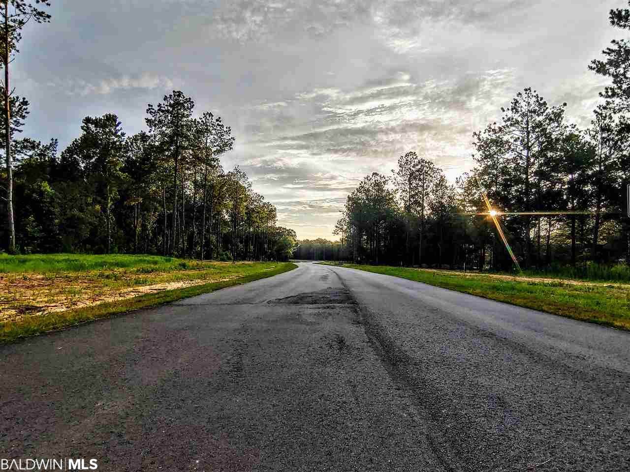 000 Anglers Trail - Photo 1