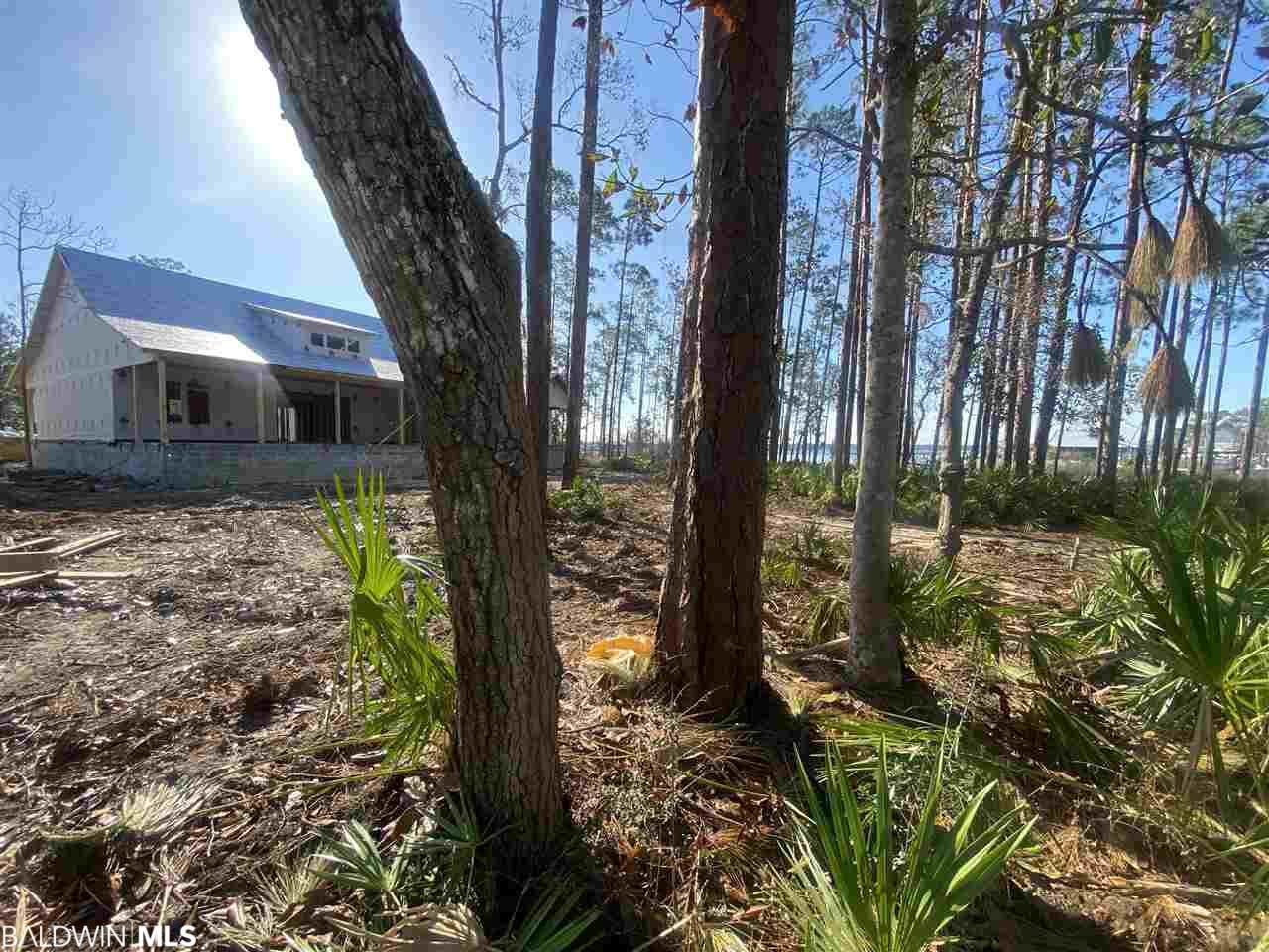 28885 Hopetown Lane - Photo 1