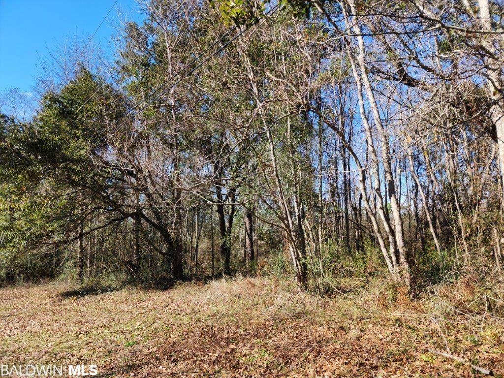 1641 Buckhead Trace - Photo 1