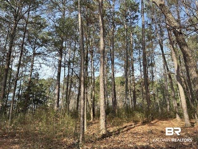 21&22 Flat Creek Drive - Photo 1
