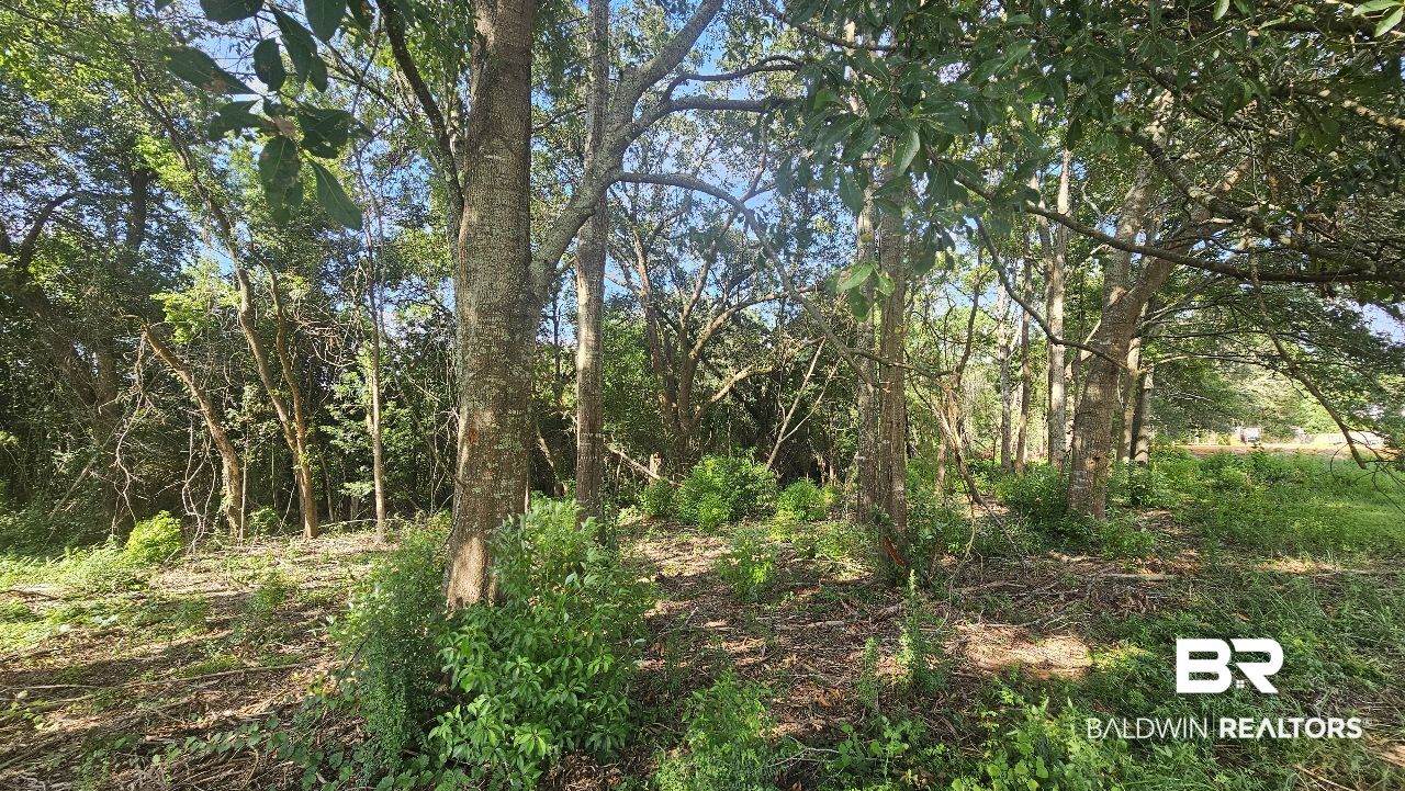 903 Savannah Court - Photo 1