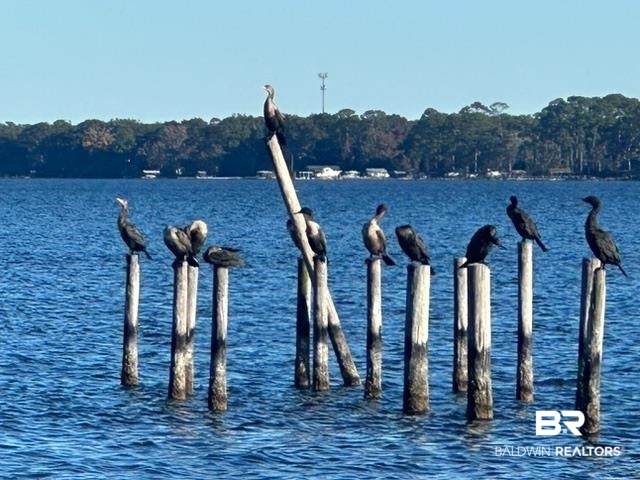 https://bt-photos.global.ssl.fastly.net/baldwin/orig_boomver_3_389284-2.jpg