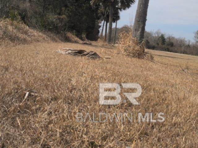https://bt-photos.global.ssl.fastly.net/baldwin/orig_boomver_3_391918-2.jpg