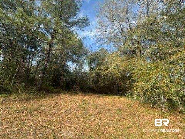 0 Delta Woods Drive - Photo 1