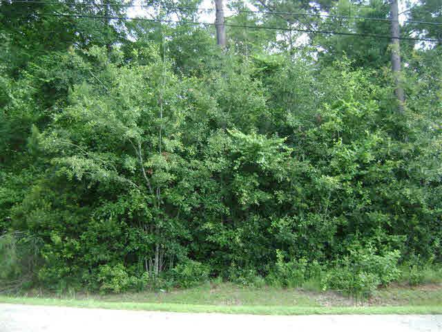 0 Wilson Av - Photo 1