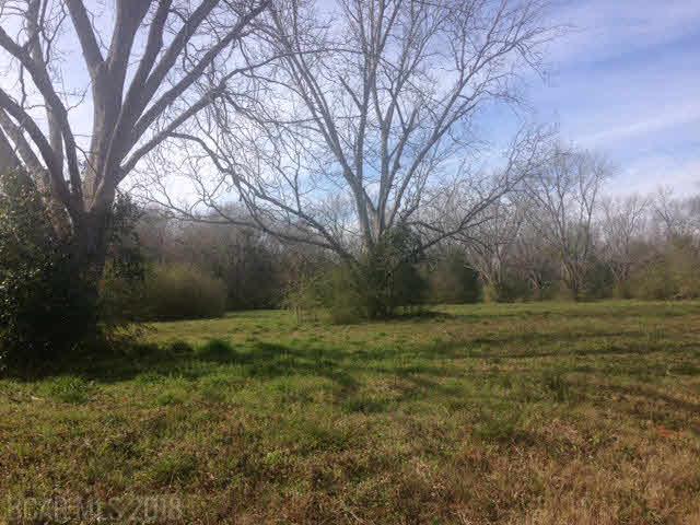 24711 Highway 59 - Photo 1
