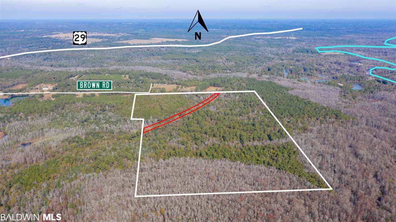 539 & 551 Brown Road - Photo 1