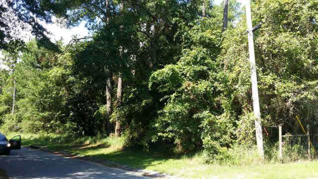 0 Marguerite Dr - Photo 1 0 Marguerite Dr - Photo 1