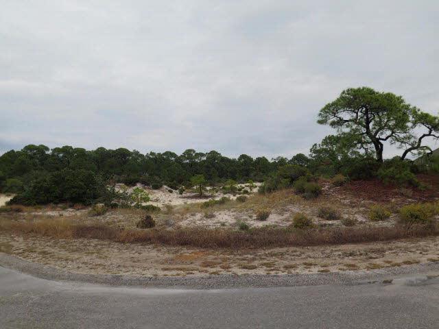 0 Audubon Place - Photo 1