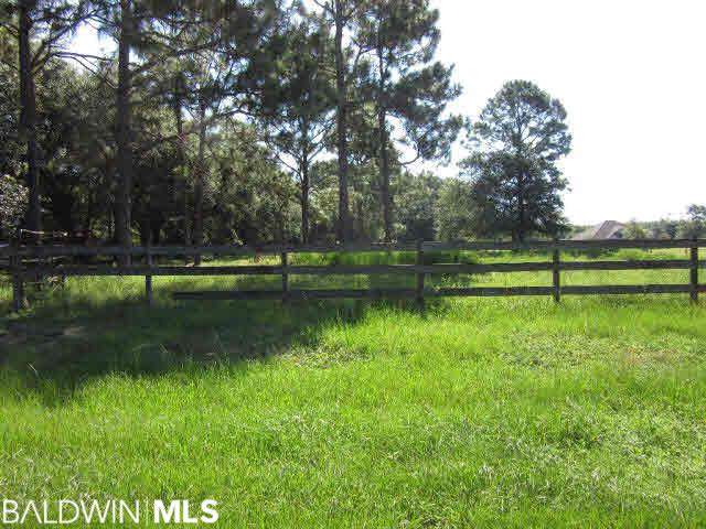 21320 Bohemian Hall Road - Photo 1