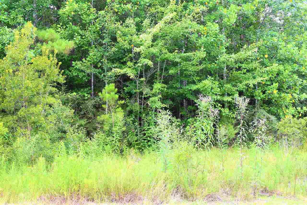 lot 70 Gravine Street - Photo 1