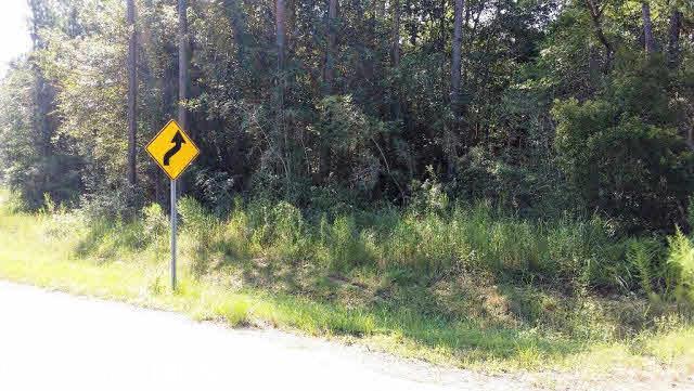 0 Riverview Road - Photo 1