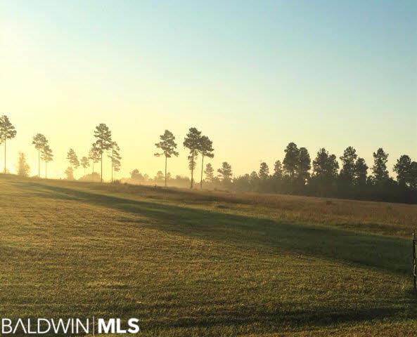 0 Dogwood Rd - Photo 1