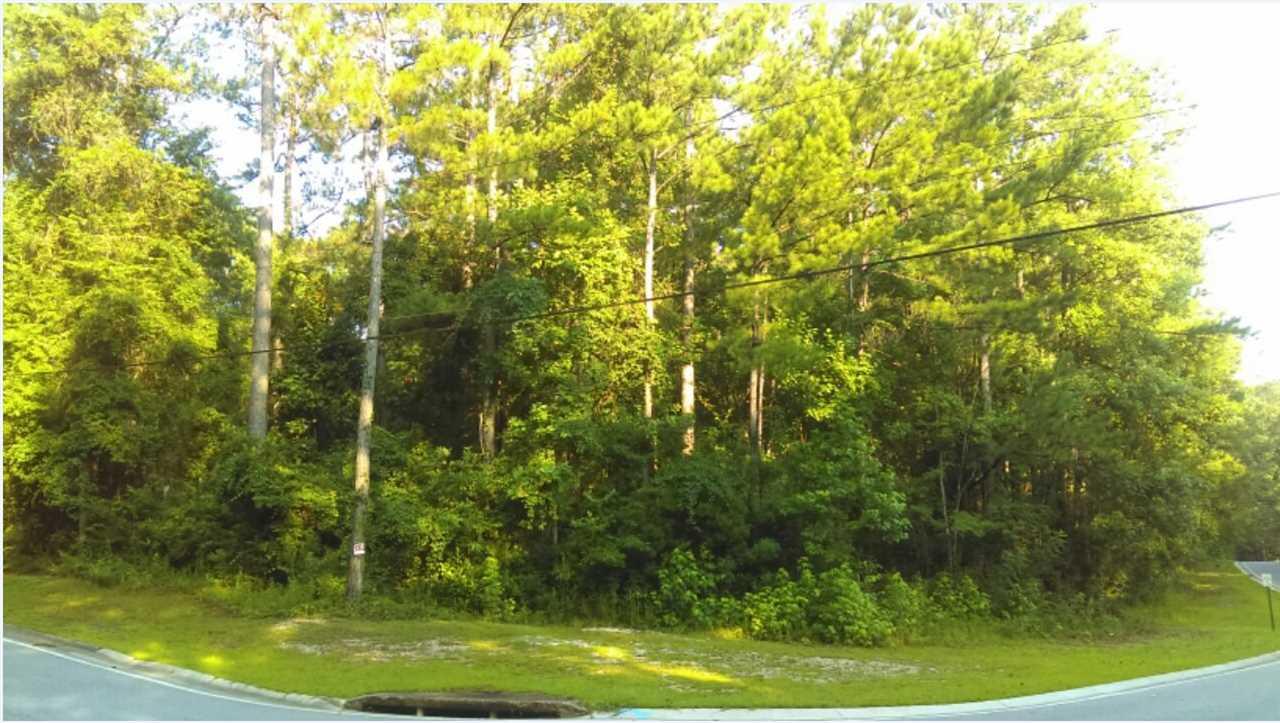 282 Ridgewood Drive - Photo 1