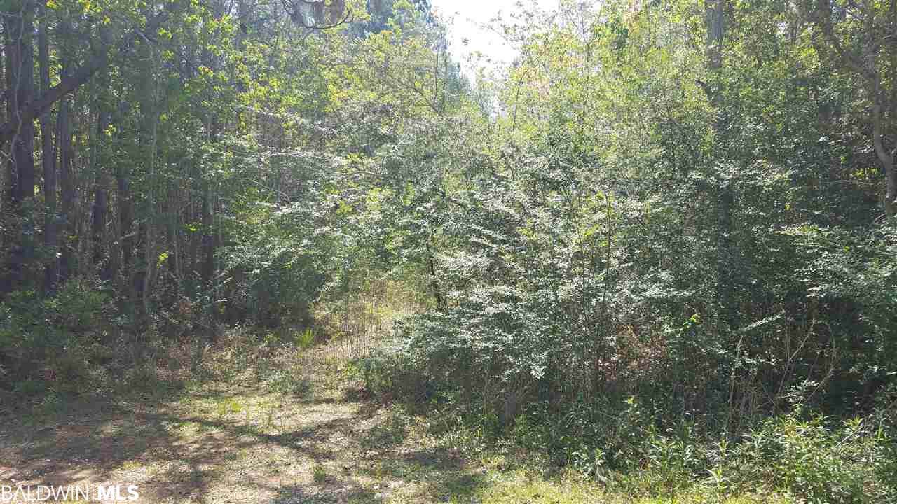 2322 Cotton Creek Dr - Photo 1