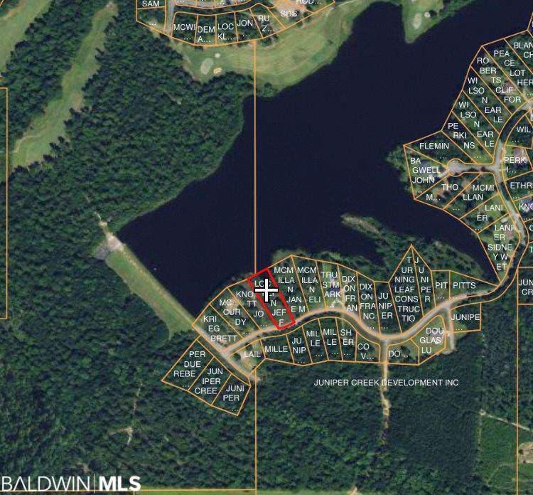 0 Lake Juniper Rd - Photo 1