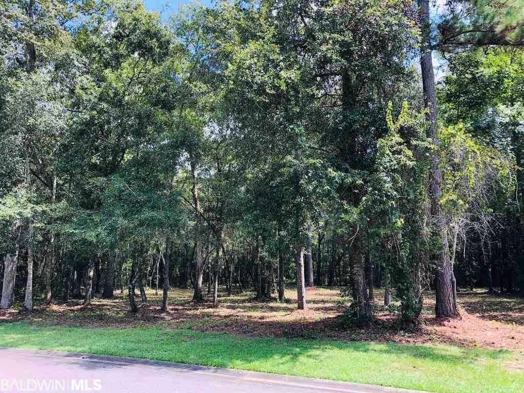 17370 Polo Ridge Blvd - Photo 1
