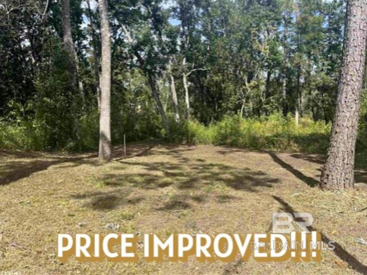 24875 Miflin Road - Photo 1