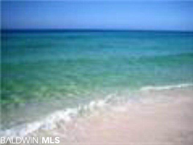 14795 Perdido Key Dr - Photo 1