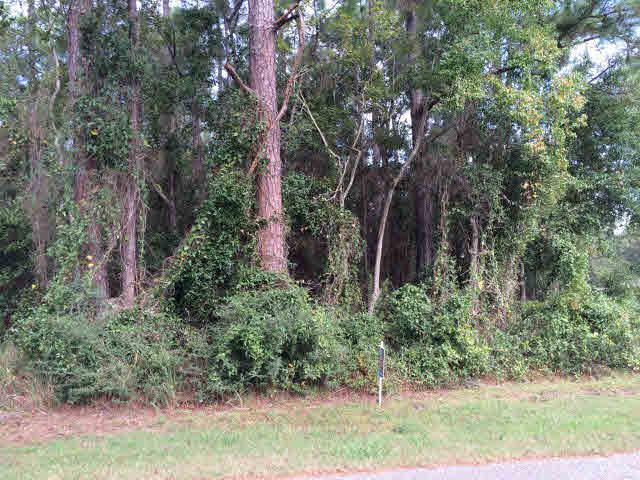 300 23rd Avenue - Photo 1