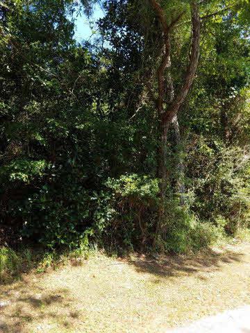 0 Marguerite Dr - Photo 1